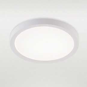Накладной светильник Natali Kovaltseva PLAIN LED LAMPS 81113/1C в Чайковском - chaykovskiy.ok-mebel.com | фото 2
