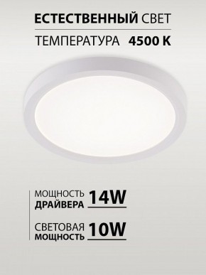 Накладной светильник Natali Kovaltseva PLAIN LED LAMPS 81113/1C в Чайковском - chaykovskiy.ok-mebel.com | фото 4