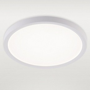 Накладной светильник Natali Kovaltseva PLAIN LED LAMPS 81113/2C в Чайковском - chaykovskiy.ok-mebel.com | фото 2
