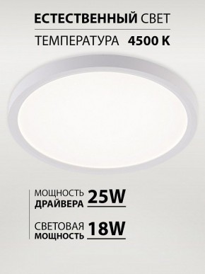 Накладной светильник Natali Kovaltseva PLAIN LED LAMPS 81113/2C в Чайковском - chaykovskiy.ok-mebel.com | фото 3