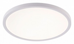 Накладной светильник Natali Kovaltseva PLAIN LED LAMPS 81113/3C в Чайковском - chaykovskiy.ok-mebel.com | фото