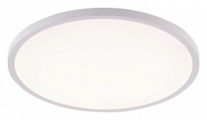 Накладной светильник Natali Kovaltseva PLAIN LED LAMPS 81113/5C в Чайковском - chaykovskiy.ok-mebel.com | фото