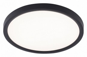 Накладной светильник Natali Kovaltseva PLAIN LED LAMPS 81114/2C в Чайковском - chaykovskiy.ok-mebel.com | фото