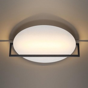 Накладной светильник Odeon Light Next 7015/20WL в Чайковском - chaykovskiy.ok-mebel.com | фото 2