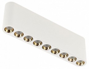 Накладной светильник Odeon Light Small 7091/21CL в Чайковском - chaykovskiy.ok-mebel.com | фото