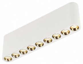 Накладной светильник Odeon Light Small 7091/21CL в Чайковском - chaykovskiy.ok-mebel.com | фото 3