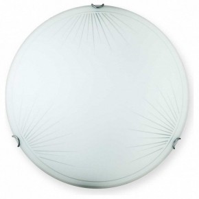Накладной светильник TopLight Wifa TL9142Y-00WH в Чайковском - chaykovskiy.ok-mebel.com | фото