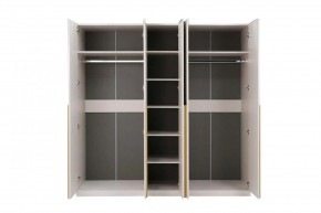 НИКОЛЬ 25 Шкаф 5-ти створчатый в Чайковском - chaykovskiy.ok-mebel.com | фото 3