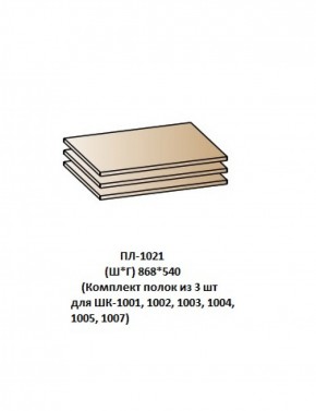 ПЛ-1021 (Комплект полок из 3 шт для ШК-1001, 1002, 1003, 1004, 1005, 1007) в Чайковском - chaykovskiy.ok-mebel.com | фото
