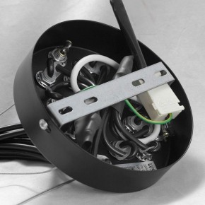 Подвесная люстра Lussole Seneca GRLSP-8177 в Чайковском - chaykovskiy.ok-mebel.com | фото 10