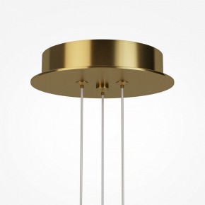 Подвесная люстра Maytoni Arana MOD401PL-L108BS3K в Чайковском - chaykovskiy.ok-mebel.com | фото 7
