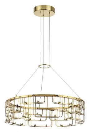 Подвесная люстра Odeon Light ZAHA 7060/44L в Чайковском - chaykovskiy.ok-mebel.com | фото 2