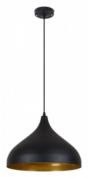 Подвесной светильник Arte Lamp Carmel A7076SP-1BK в Чайковском - chaykovskiy.ok-mebel.com | фото 2