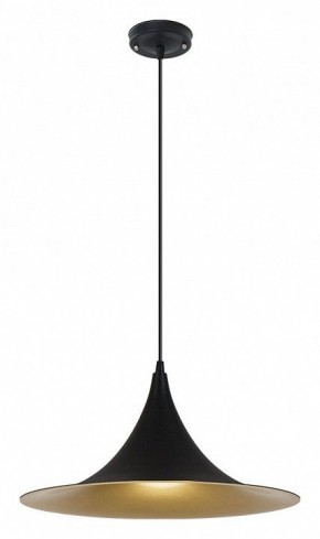Подвесной светильник Arte Lamp Carmel A7080SP-1BK в Чайковском - chaykovskiy.ok-mebel.com | фото 2