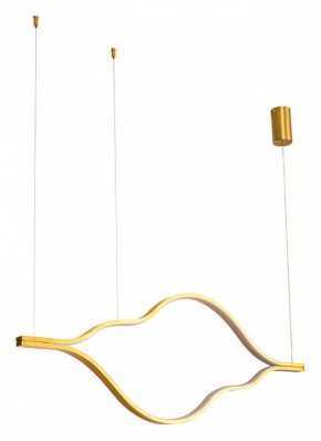 Подвесной светильник Arte Lamp Odyssey A2911SP-31GO в Чайковском - chaykovskiy.ok-mebel.com | фото 2