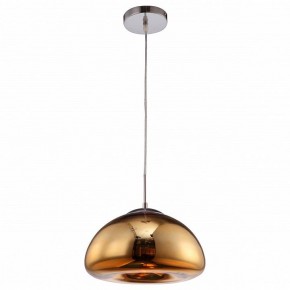 Подвесной светильник Arte Lamp Swift A8041SP-1GO в Чайковском - chaykovskiy.ok-mebel.com | фото 2