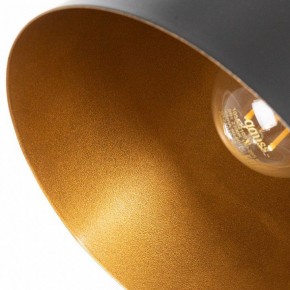 Подвесной светильник Arte Lamp Thomas A7032SP-1BK в Чайковском - chaykovskiy.ok-mebel.com | фото 5