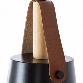 Подвесной светильник Arte Lamp Thomas A7032SP-1BK в Чайковском - chaykovskiy.ok-mebel.com | фото 6