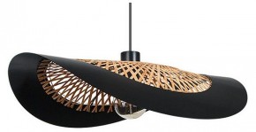 Подвесной светильник Arte Lamp Woodstock A7059SP-1BK в Чайковском - chaykovskiy.ok-mebel.com | фото