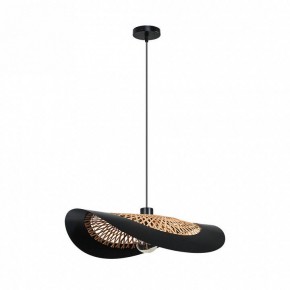 Подвесной светильник Arte Lamp Woodstock A7059SP-1BK в Чайковском - chaykovskiy.ok-mebel.com | фото 2