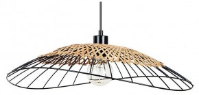 Подвесной светильник Arte Lamp Woodstock A7061SP-1BK в Чайковском - chaykovskiy.ok-mebel.com | фото