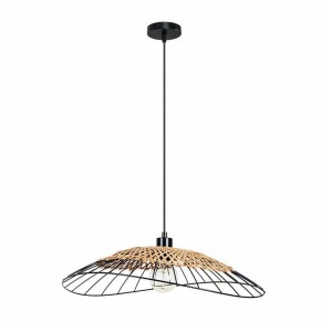 Подвесной светильник Arte Lamp Woodstock A7061SP-1BK в Чайковском - chaykovskiy.ok-mebel.com | фото 2