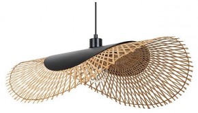 Подвесной светильник Arte Lamp Woodstock A7063SP-1BK в Чайковском - chaykovskiy.ok-mebel.com | фото