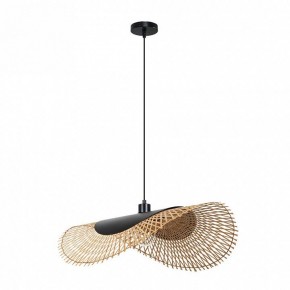 Подвесной светильник Arte Lamp Woodstock A7063SP-1BK в Чайковском - chaykovskiy.ok-mebel.com | фото 2
