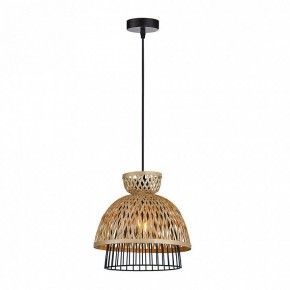 Подвесной светильник Arte Lamp Woodstock A7070SP-1BK в Чайковском - chaykovskiy.ok-mebel.com | фото