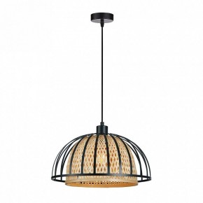 Подвесной светильник Arte Lamp Woodstock A7071SP-1BK в Чайковском - chaykovskiy.ok-mebel.com | фото