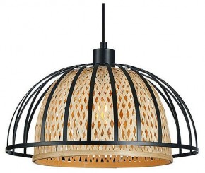 Подвесной светильник Arte Lamp Woodstock A7071SP-1BK в Чайковском - chaykovskiy.ok-mebel.com | фото 2