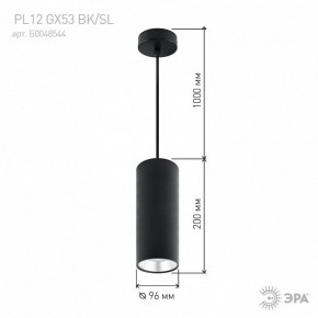 Подвесной светильник Эра  PL12 GX53 BK/SL в Чайковском - chaykovskiy.ok-mebel.com | фото 8