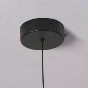 Подвесной светильник Favourite Wilet 4656-1P в Чайковском - chaykovskiy.ok-mebel.com | фото 10