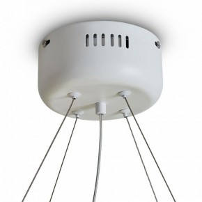 Подвесной светильник Freya Rain FR5546PL-L60W в Чайковском - chaykovskiy.ok-mebel.com | фото 9