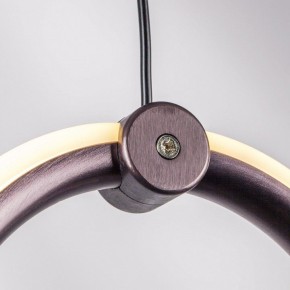 Подвесной светильник Lightstar Caramello 796329 в Чайковском - chaykovskiy.ok-mebel.com | фото 10