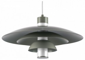 Подвесной светильник Lightstar Erbareo 799019 в Чайковском - chaykovskiy.ok-mebel.com | фото