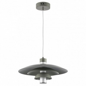 Подвесной светильник Lightstar Erbareo 799019 в Чайковском - chaykovskiy.ok-mebel.com | фото 2