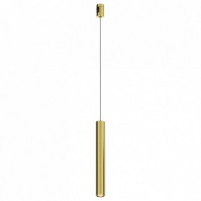 Подвесной светильник Maytoni Focus Led TR155-1-5W3K-BS в Чайковском - chaykovskiy.ok-mebel.com | фото