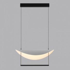 Подвесной светильник Odeon Light Next 7015/20L в Чайковском - chaykovskiy.ok-mebel.com | фото 4