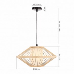 Подвесной светильник ST-Luce ALMA SL6241.533.01 в Чайковском - chaykovskiy.ok-mebel.com | фото 5