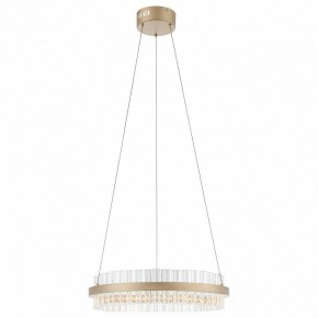 Подвесной светильник ST-Luce Cherio SL383.203.01 в Чайковском - chaykovskiy.ok-mebel.com | фото 3
