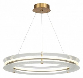 Подвесной светильник ST-Luce FAGY SL6245.203.01 в Чайковском - chaykovskiy.ok-mebel.com | фото 2
