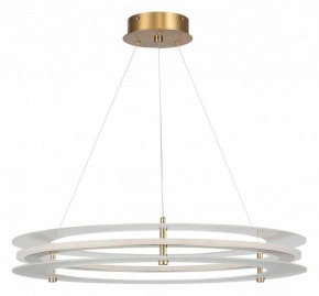 Подвесной светильник ST-Luce FAGY SL6245.203.01 в Чайковском - chaykovskiy.ok-mebel.com | фото 3