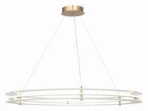 Подвесной светильник ST-Luce FAGY SL6245.213.01 в Чайковском - chaykovskiy.ok-mebel.com | фото 2