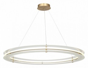 Подвесной светильник ST-Luce FAGY SL6245.213.01 в Чайковском - chaykovskiy.ok-mebel.com | фото 4