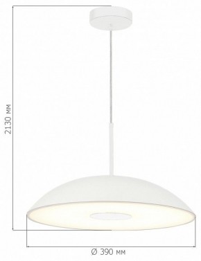 Подвесной светильник ST-Luce Lido SL6128.503.01 в Чайковском - chaykovskiy.ok-mebel.com | фото 4