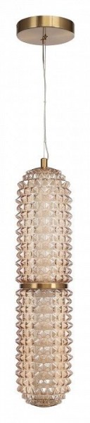 Подвесной светильник ST-Luce SAGUARO SL6144.303.01 в Чайковском - chaykovskiy.ok-mebel.com | фото 3