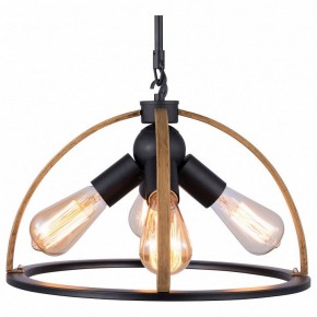 Подвесной светильник TopLight Jasmin TL1179H-04BK в Чайковском - chaykovskiy.ok-mebel.com | фото