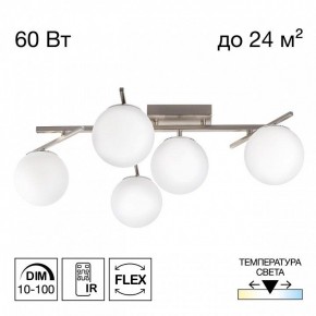 Потолочная люстра Citilux Dorsy CL223151 в Чайковском - chaykovskiy.ok-mebel.com | фото 2