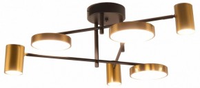 Потолочная люстра Kink Light Рапис 07645-6D,19(20) в Чайковском - chaykovskiy.ok-mebel.com | фото